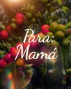 Diplomado Ayurveda
